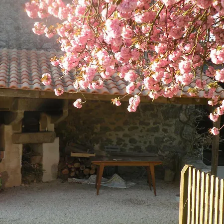 La Raymondiere * Vernoux-en-Gâtine