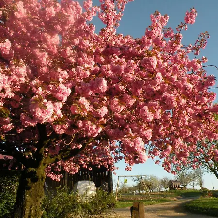 La Raymondiere Bed & Breakfast *